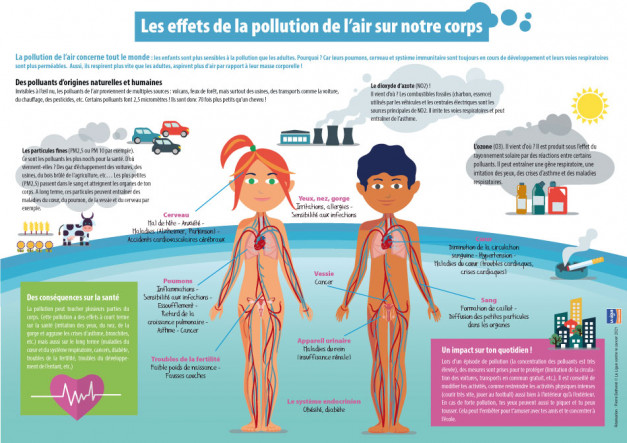 infographie pollution air